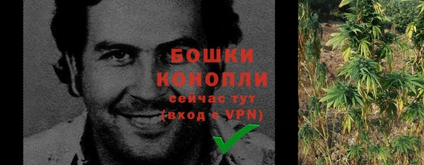 бошки Нея