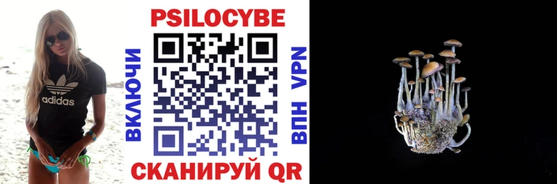 Псилоцибиновые грибы Psilocybine cubensis  где продают   Нахабино 